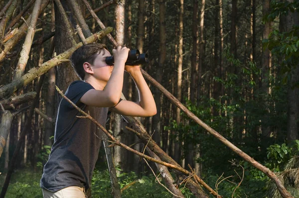 Guardare Dal Sottobosco — Foto Stock