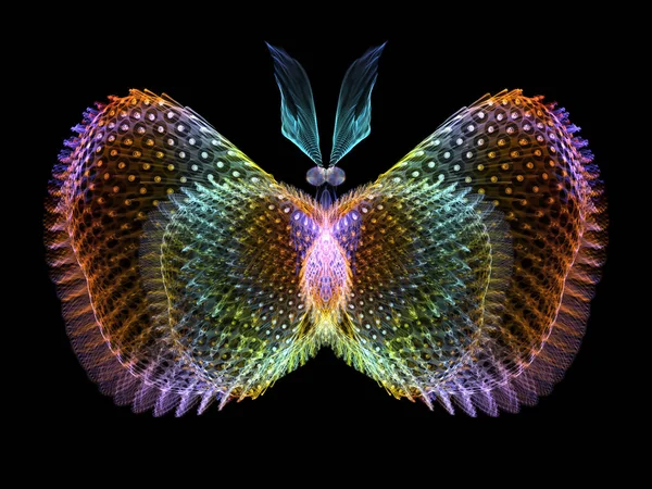 Никогда Бабочками Состав Изолированных Образцов Бабочек Метафорическим Отношением Науке Воображению — стоковое фото