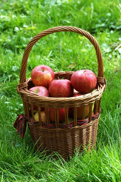 Pommes Dans Panier — Photo