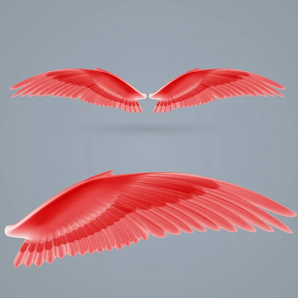 Вдохновляющие Крылья Красный Цвет Нарисован Отдельно Сером Фоне — стоковое фото