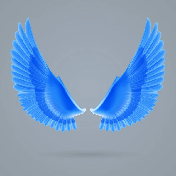 Вдохновляющие Крылья Синего Цвета Нарисованные Отдельно Сером Фоне — стоковое фото