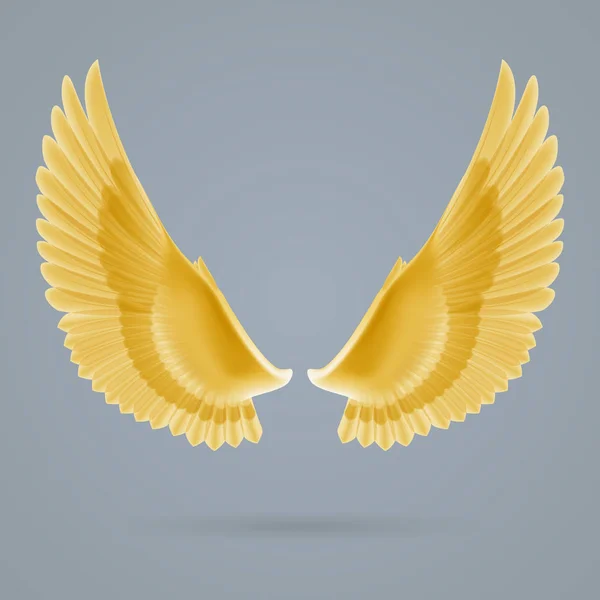 Inspiring Wings Drawn Separately Gray Background — Stock Photo, Image