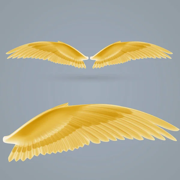 Inspirující Žlutá Křídla Nakreslená Samostatně Šedém Pozadí — Stock fotografie