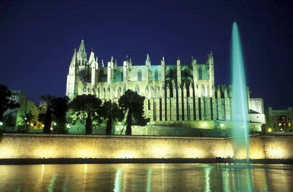 Die Kathedrale Seu Der Hauptstadt Palma Mallorca Auf Der Insel — Stockfoto