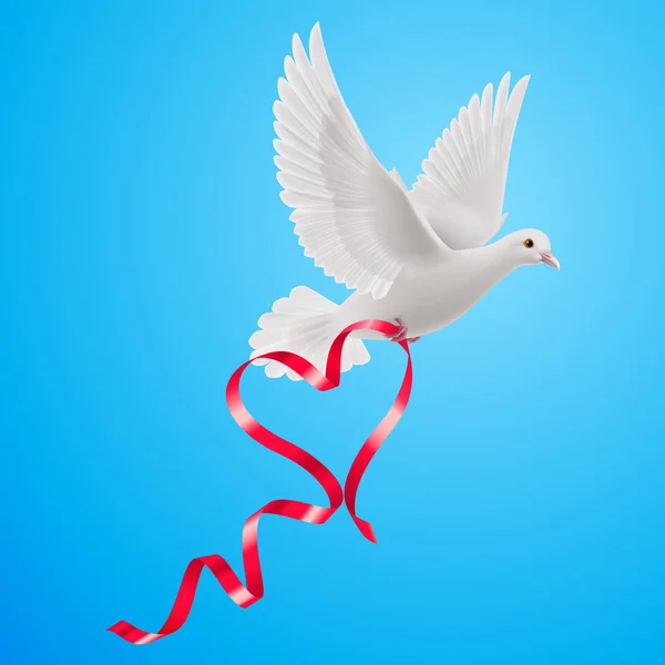 White Dove Red Ribbon Blue Background — Stock Photo, Image