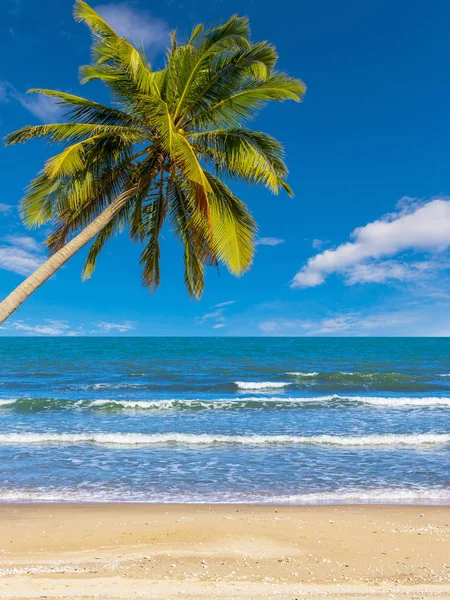 Praia Com Coqueiro Verão — Fotografia de Stock