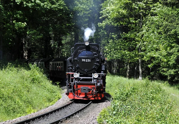 Ferrocarril Vía Estrecha Harz —  Fotos de Stock
