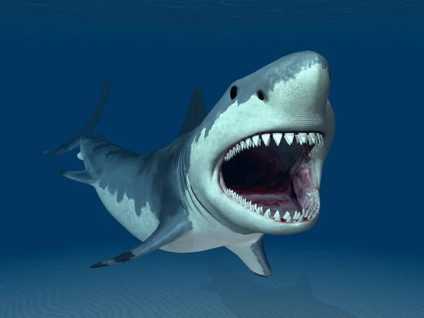Ilustração Gerada Por Computador Com Grande Tubarão Branco — Fotografia de Stock