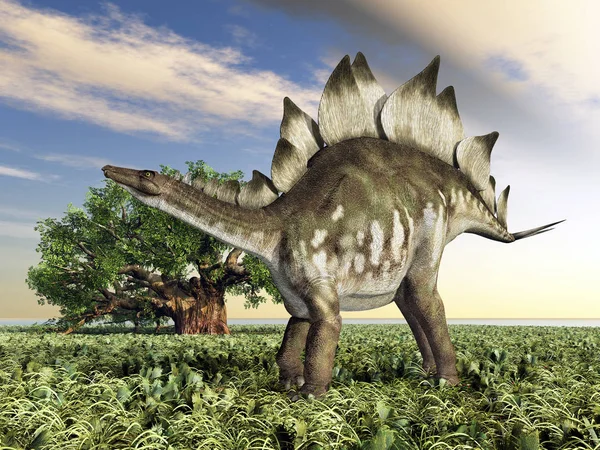 Computador Gerado Ilustração Com Dinossauro Stegosaurus — Fotografia de Stock