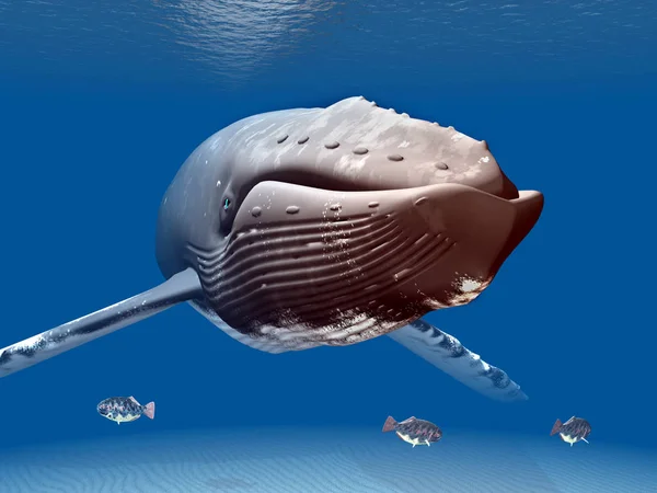 Computador Gerado Ilustração Com Uma Baleia Jubarte — Fotografia de Stock