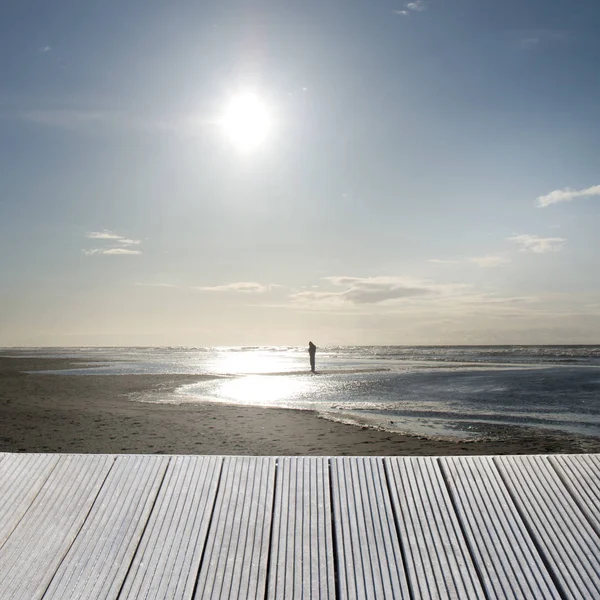 日当たりの良い背景を持つ海を見下ろす木製の桟橋の風景 — ストック写真