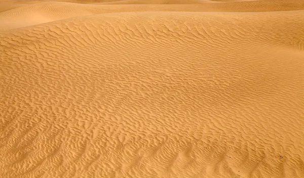Superficie Sabbiosa Desertica Geologia — Foto Stock