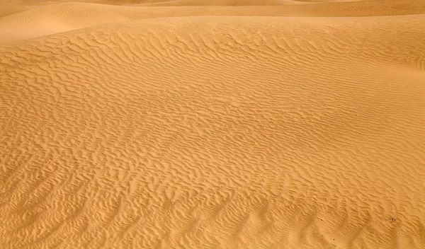 Desert Sand Surface Geology — Stock Photo, Image