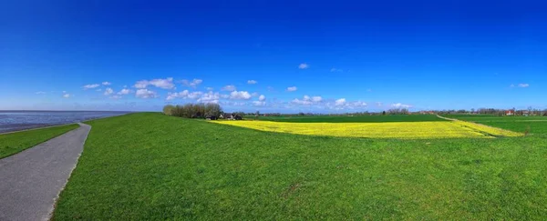 lanschaftspanorama on the north sea with the village and rapeseed field in bloom