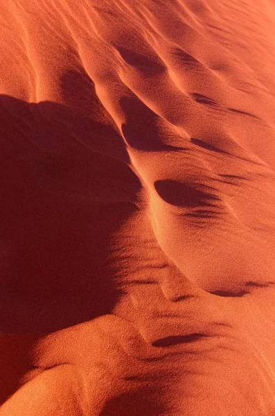 Homok Sivatagban — Stock Fotó