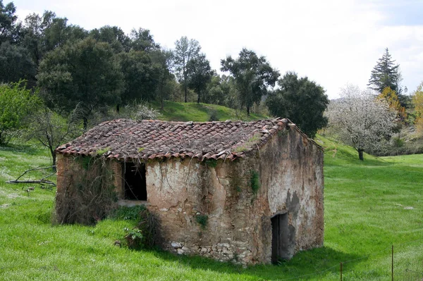 Beautiful Spain Country Europe — Stock Photo, Image