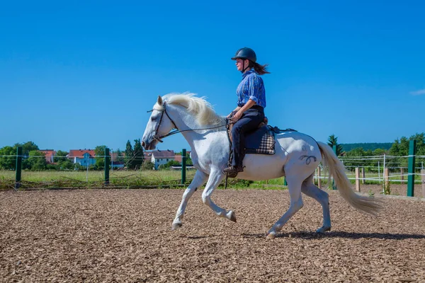 Young Woman Riding Horse Paddock — Stock Photo, Image