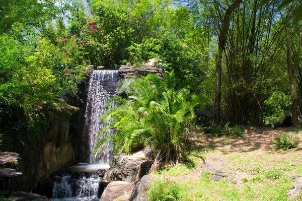 Bela Cachoeira Fundo Natureza — Fotografia de Stock