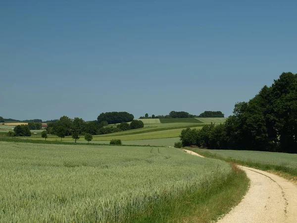 Ländliche Landwirtschaft Weizenfeld — Stockfoto