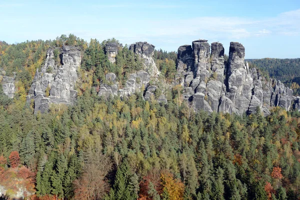 Vista Panorâmica Pássaro Ganso Natureza — Fotografia de Stock