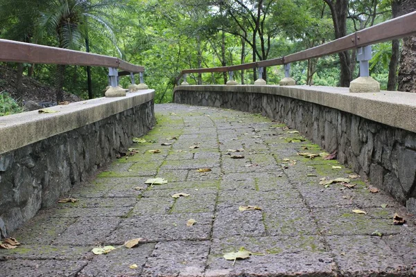 Vue Panoramique Sur Architecture Structure Pont — Photo