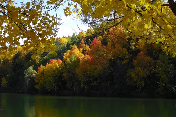 Vue Pittoresque Nature Scène — Photo