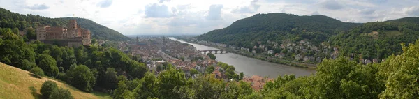 Ville Universitaire Heidelberg Sur Neckar — Photo