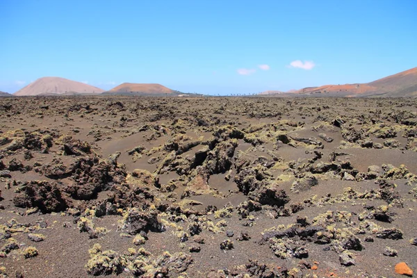 Volcanic Rock Lanzarote — Stock Photo, Image