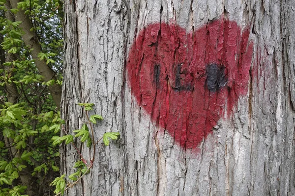 Bunter Hintergrund Für Valentinstag Karte — Stockfoto