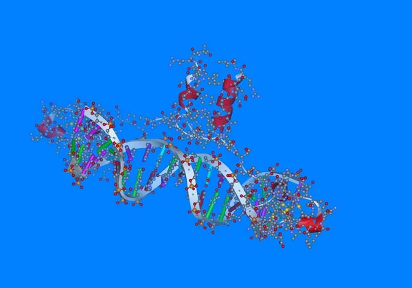 Genetica Gene Chromosoom Dna Cellen — Stockfoto