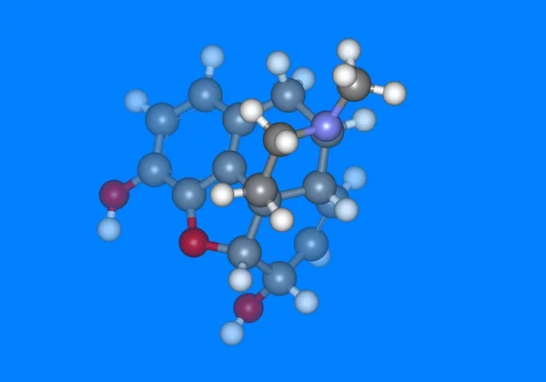 drug morphine,computer model