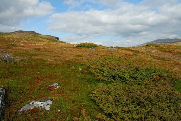 Noruega Sobre Paisagem Natural Fundo — Fotografia de Stock