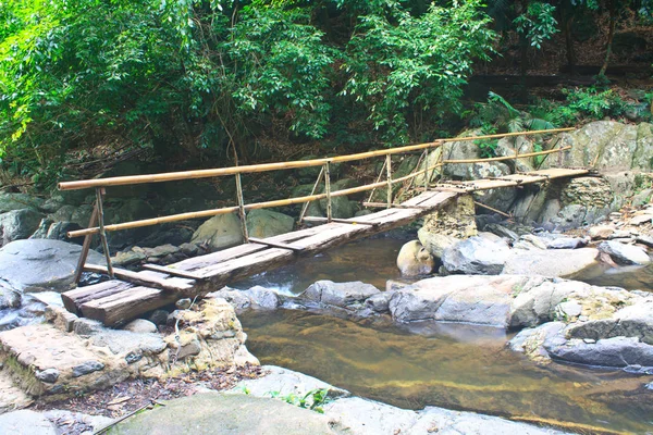 Jembatan Kayu Atas Sungai Hutan — Stok Foto