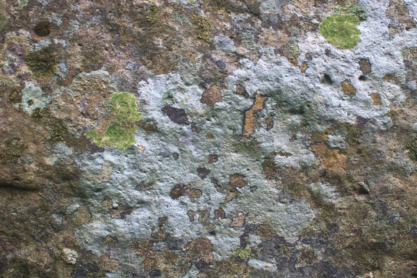 Textura Fondo Naturaleza Color Lichen Sobre Piedra —  Fotos de Stock