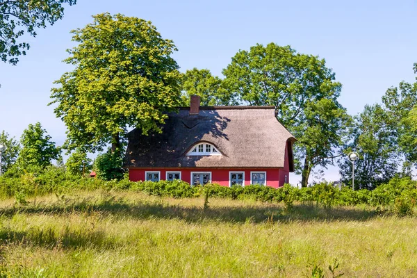 Reetdachhaus Mit Bäumen Auf Einer Grünen Wiese — Stockfoto