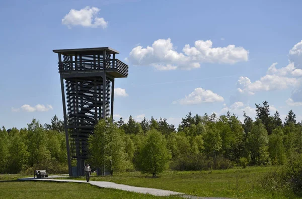 Torre Avvistamento Camminare Nella Brughiera Nera Roteare — Foto Stock