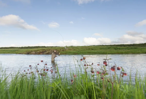 Homme Pêche Saumon Dans Cadre Magnifique — Photo