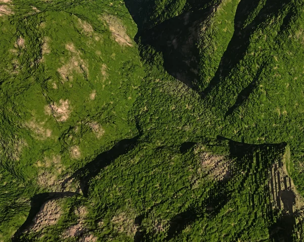 Bosque Lluvioso Naturaleza Árboles Verdes Follaje — Foto de Stock