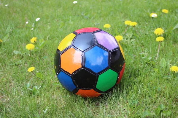 Kleurrijke Voetbal Een Grasveld Met Paardebloemen — Stockfoto