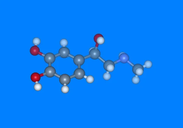 Adrenal Stres Hormonu Bilgisayar Modeli — Stok fotoğraf