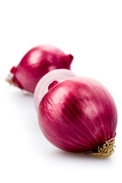 Sliced U200B U200Bred Onion White Ground — Foto Stock