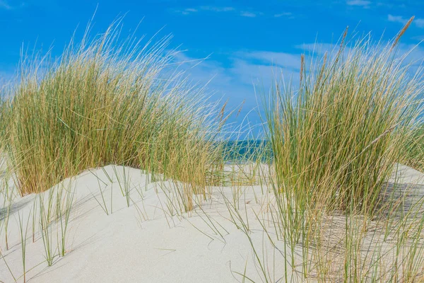 Strandlandschaft Holland — Stockfoto