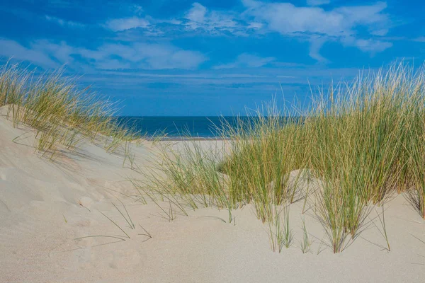オランダにビーチの風景 — ストック写真