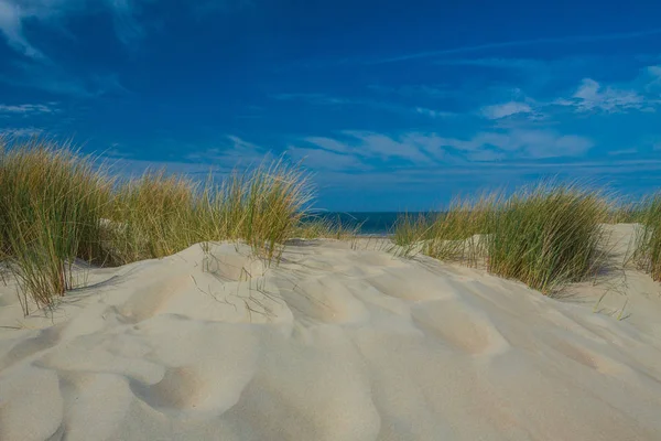 Paisagem Praia Holland — Fotografia de Stock