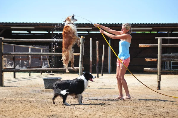 Australischer Schäferhund Border Collie Mit Frau Strand — Stockfoto