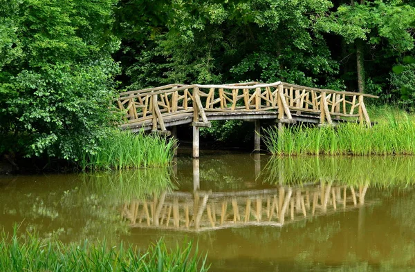 Деревянный Мост Озере Черном Лесу — стоковое фото