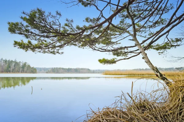 Uma Imagem Lago Típico Baviera Alemanha — Fotografia de Stock