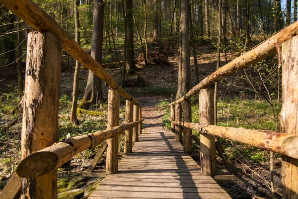 Harz Είναι Ένα Mittelgebirge Που Έχει Υψηλότερα Υψόμετρα Στη Βόρεια — Φωτογραφία Αρχείου