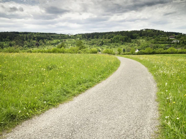 Uma Imagem Uma Paisagem Verde Prado — Fotografia de Stock