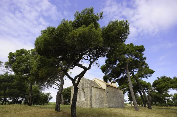 Alte Kirche Kiefernwald — Stockfoto